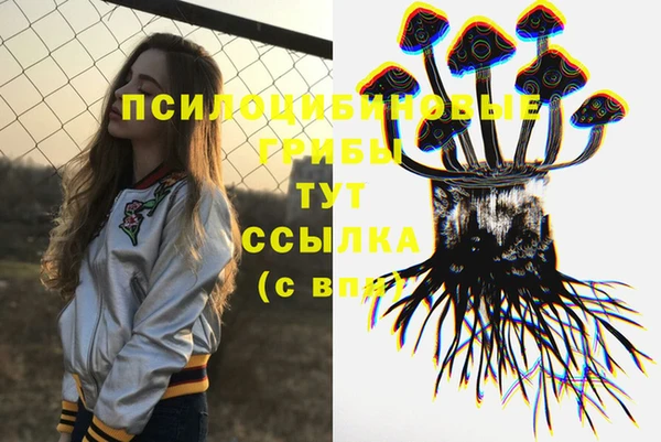 СК Абдулино